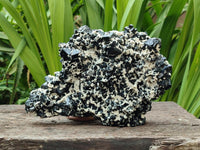 Natural Schorl Black Tourmaline Plate with Feldspar x 1 From Erongo, Namibia