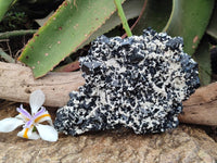 Natural Schorl Black Tourmaline Plate with Feldspar x 1 From Erongo, Namibia
