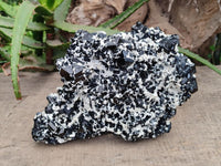 Natural Schorl Black Tourmaline Plate with Feldspar x 1 From Erongo, Namibia