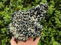 Natural Schorl Black Tourmaline Plate with Feldspar x 1 From Erongo, Namibia