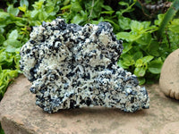 Natural Schorl Black Tourmaline Plate with Feldspar x 1 From Erongo, Namibia