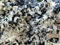 Natural Schorl Black Tourmaline Plate with Feldspar x 1 From Erongo, Namibia