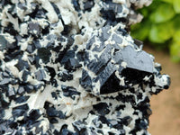 Natural Schorl Black Tourmaline Plate with Feldspar x 1 From Erongo, Namibia