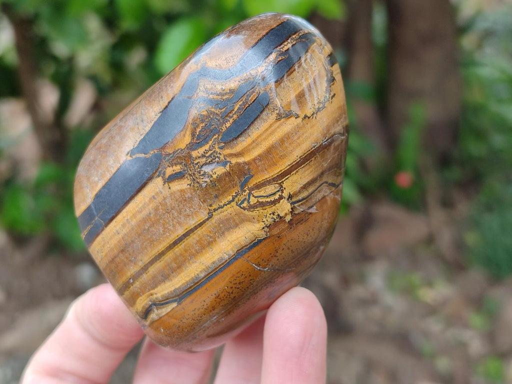 Polished Jumbo Golden Tigers Eye with Banded Iron Stone Free Forms x 5 From Prieska, South Africa