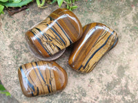 Polished Jumbo Golden Tigers Eye with Banded Iron Stone Free Forms x 5 From Prieska, South Africa