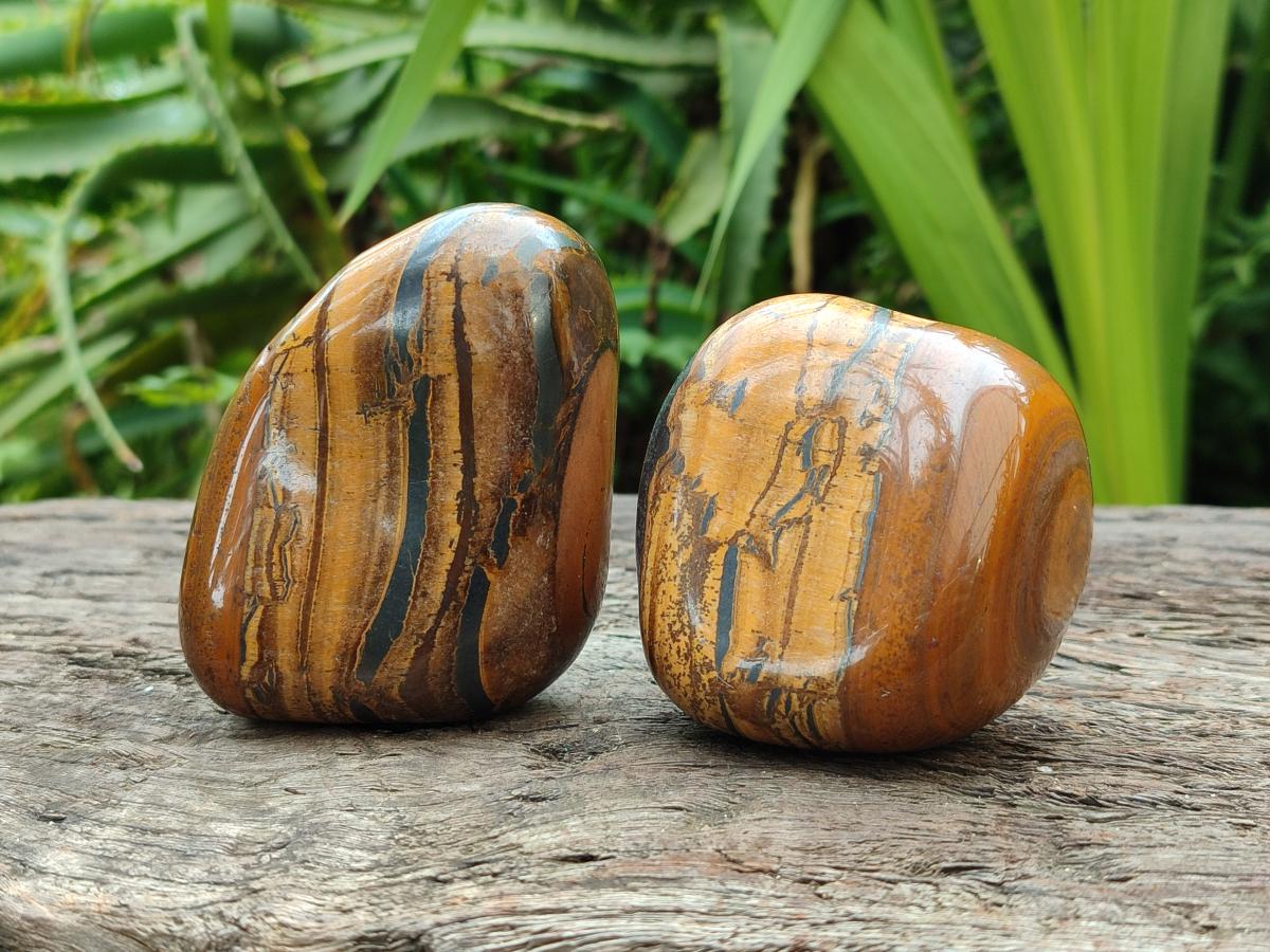 Polished Jumbo Golden Tigers Eye with Banded Iron Stone Free Forms x 5 From Prieska, South Africa