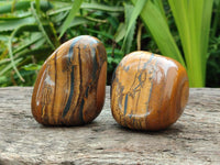 Polished Jumbo Golden Tigers Eye with Banded Iron Stone Free Forms x 5 From Prieska, South Africa