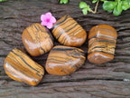 Polished Jumbo Golden Tigers Eye with Banded Iron Stone Free Forms x 5 From Prieska, South Africa