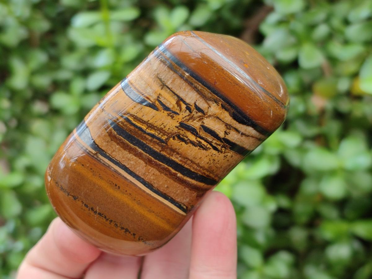 Polished Jumbo Golden Tigers Eye with Banded Iron Stone Free Forms x 5 From Prieska, South Africa