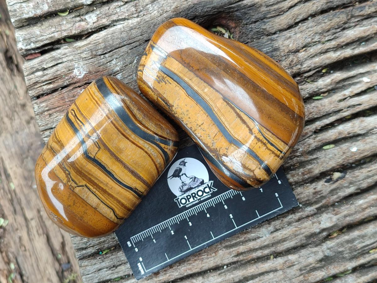 Polished Jumbo Golden Tigers Eye with Banded Iron Stone Free Forms x 5 From Prieska, South Africa