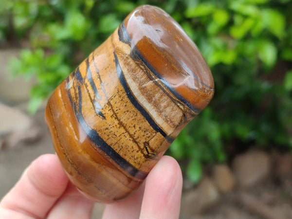 Polished Jumbo Golden Tigers Eye with Banded Iron Stone Free Forms x 5 From Prieska, South Africa