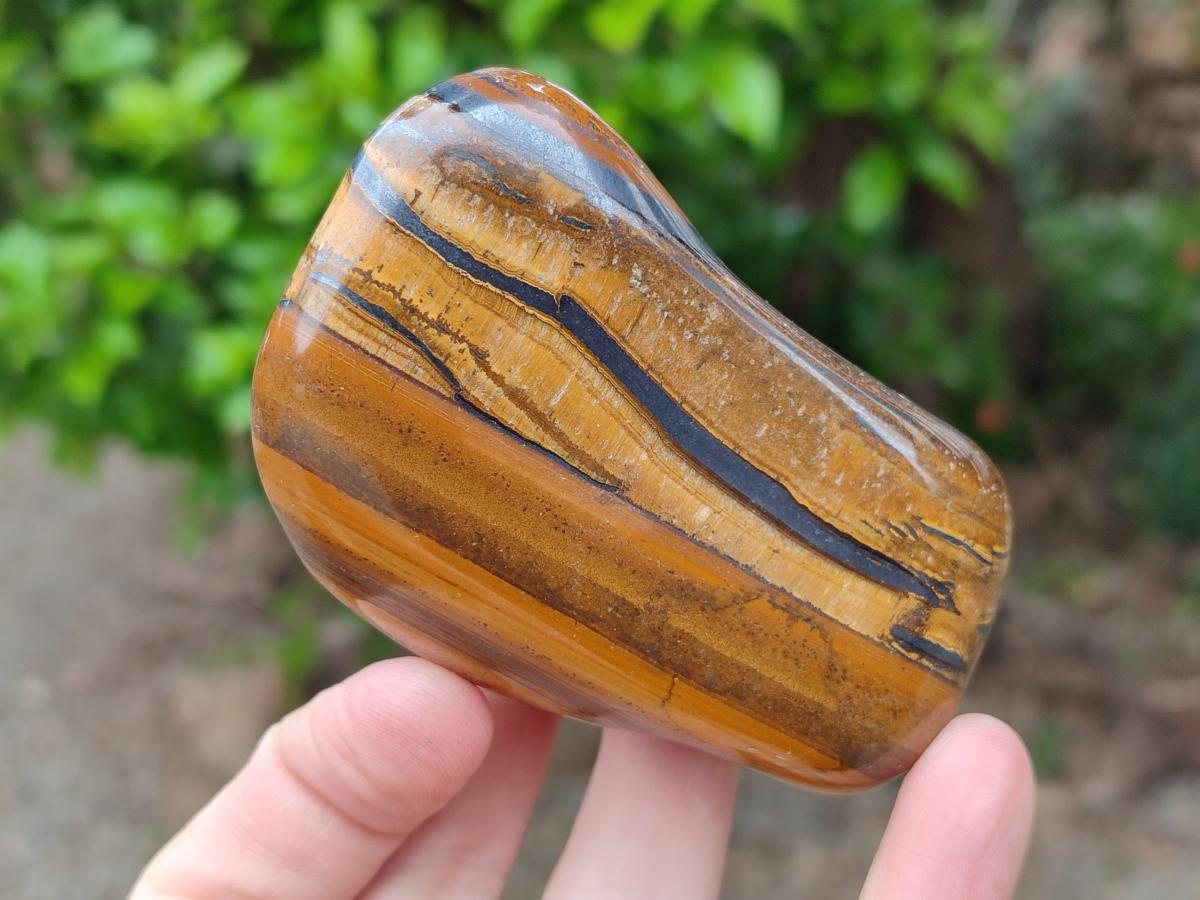 Polished Jumbo Golden Tigers Eye with Banded Iron Stone Free Forms x 5 From Prieska, South Africa