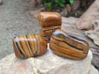 Polished Jumbo Golden Tigers Eye with Banded Iron Stone Free Forms x 5 From Prieska, South Africa