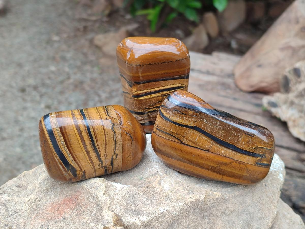 Polished Jumbo Golden Tigers Eye with Banded Iron Stone Free Forms x 5 From Prieska, South Africa