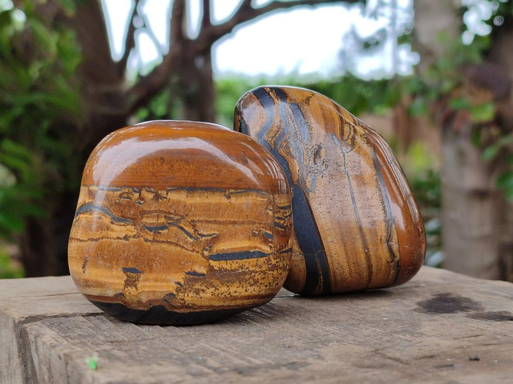 Polished Jumbo Golden Tigers Eye with Banded Iron Stone Free Forms x 5 From Prieska, South Africa