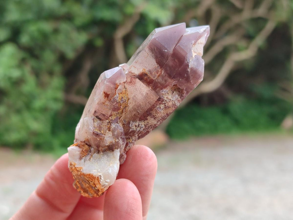 Natural Red Hematoid Quartz Crystals and Clusters x 12 From Karoi, Zimbabwe