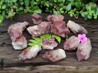 Natural Red Hematoid Quartz Crystals and Clusters x 12 From Karoi, Zimbabwe