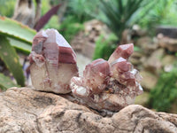 Natural Red Hematoid Quartz Crystals and Clusters x 12 From Karoi, Zimbabwe
