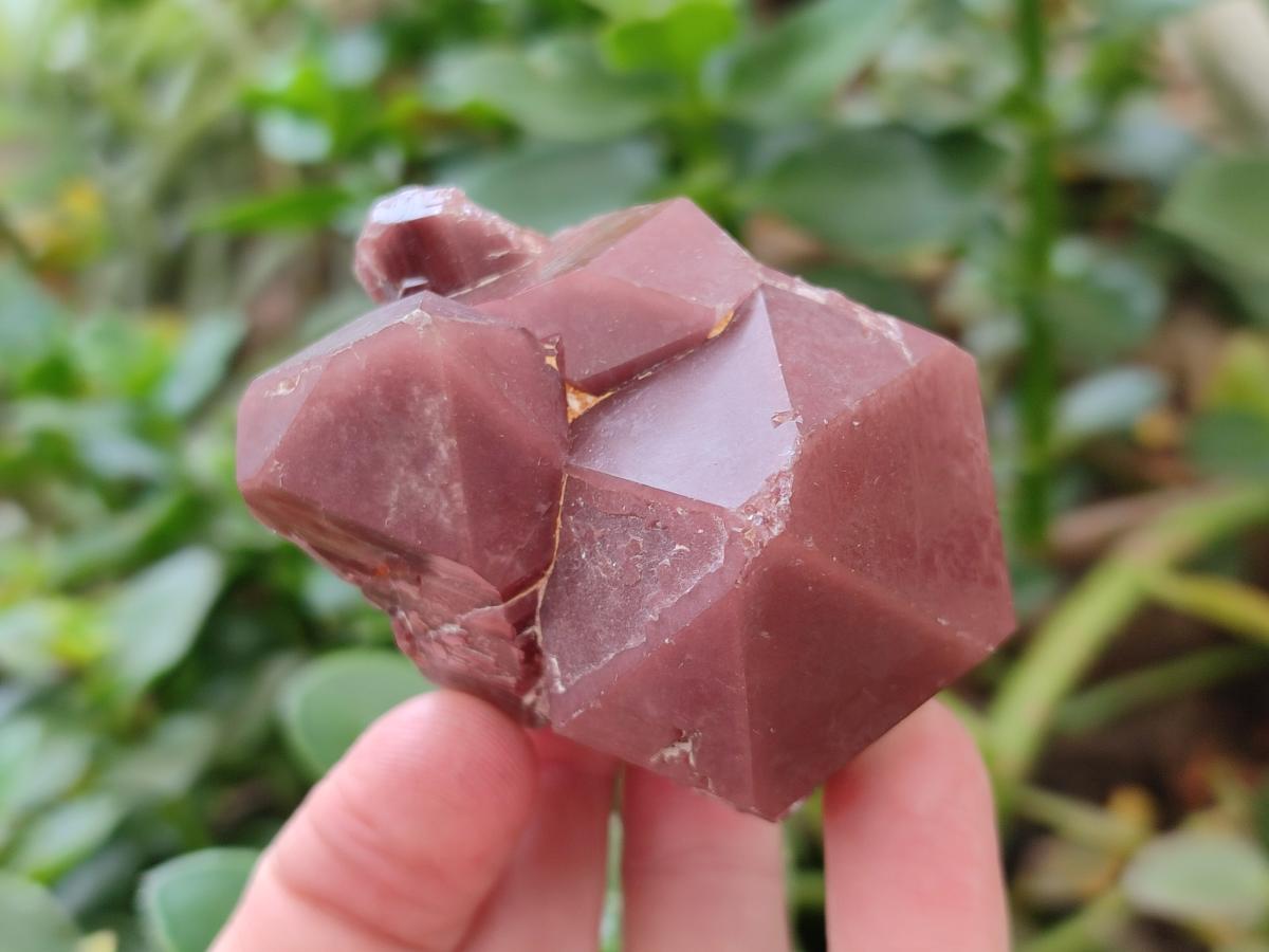 Natural Red Hematoid Quartz Crystals and Clusters x 12 From Karoi, Zimbabwe