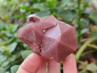 Natural Red Hematoid Quartz Crystals and Clusters x 12 From Karoi, Zimbabwe