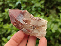 Natural Red Hematoid Quartz Crystals and Clusters x 12 From Karoi, Zimbabwe