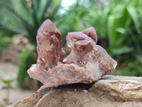 Natural Red Hematoid Quartz Crystals and Clusters x 12 From Karoi, Zimbabwe