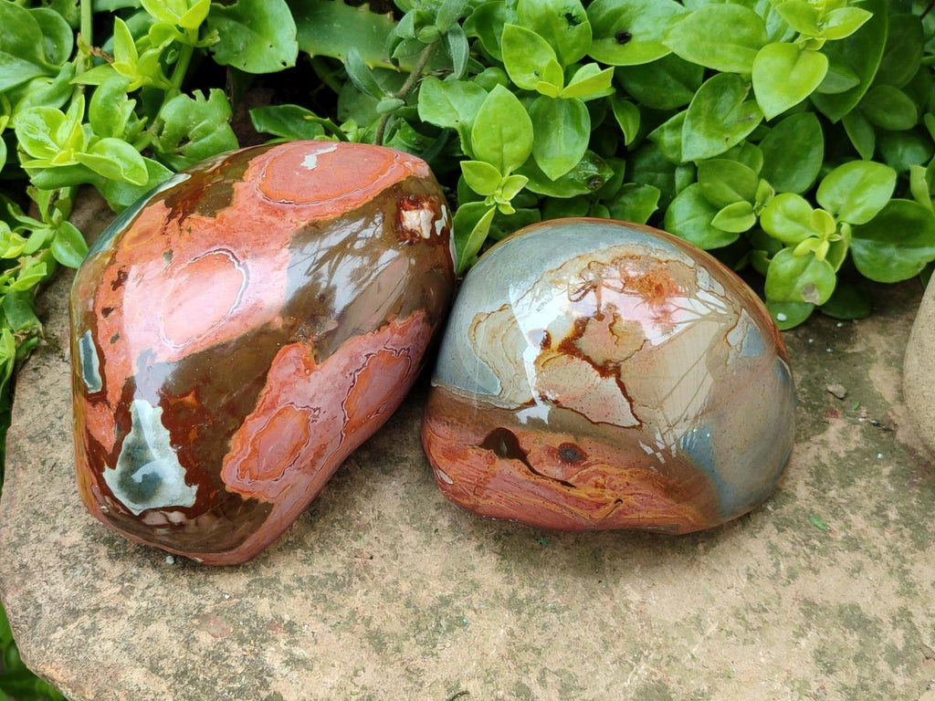 Polished On One Side Polychrome Jasper Nodules x 2 From NW Coast, Madagascar