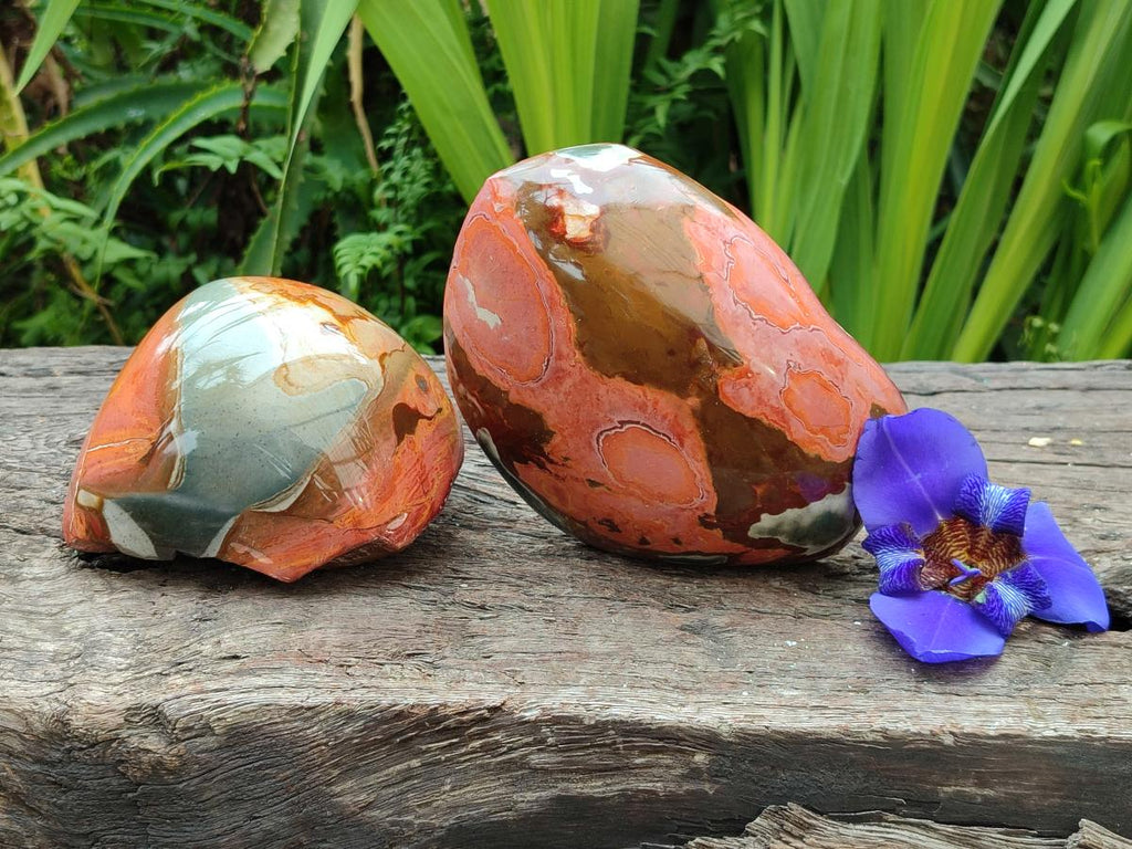Polished On One Side Polychrome Jasper Nodules x 2 From NW Coast, Madagascar