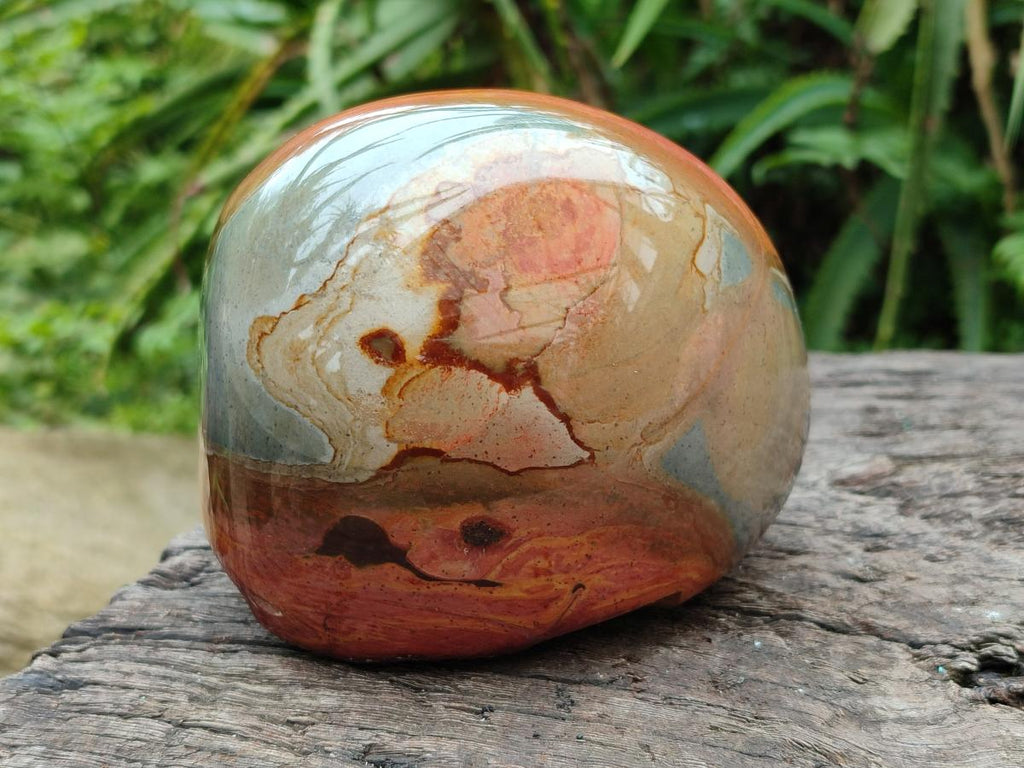 Polished On One Side Polychrome Jasper Nodules x 2 From NW Coast, Madagascar