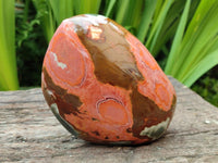 Polished On One Side Polychrome Jasper Nodules x 2 From NW Coast, Madagascar