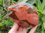 Polished On One Side Polychrome Jasper Nodules x 2 From NW Coast, Madagascar