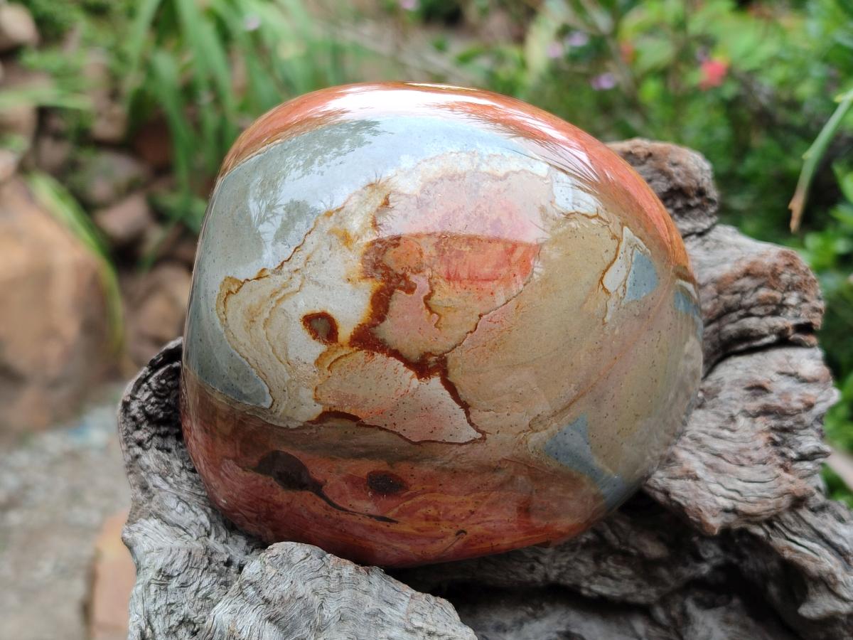 Polished On One Side Polychrome Jasper Nodules x 2 From NW Coast, Madagascar
