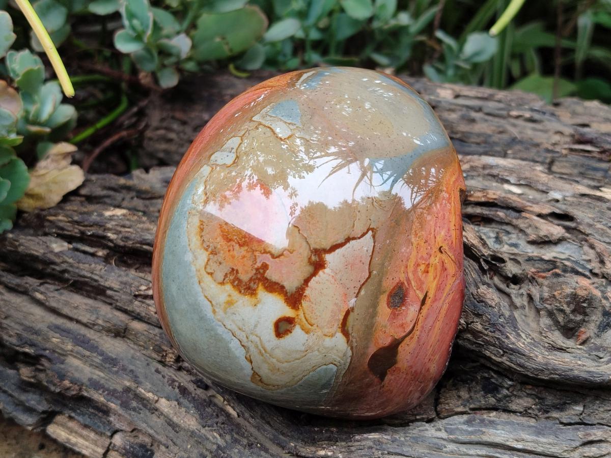 Polished On One Side Polychrome Jasper Nodules x 2 From NW Coast, Madagascar