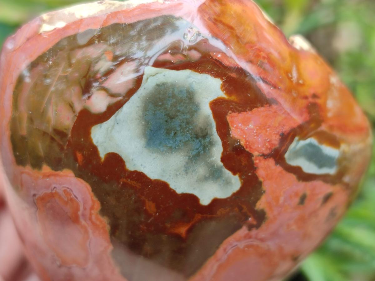 Polished On One Side Polychrome Jasper Nodules x 2 From NW Coast, Madagascar