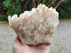 Natural Mixed Clear and Milky Quartz Clusters x 3 From Madagascar