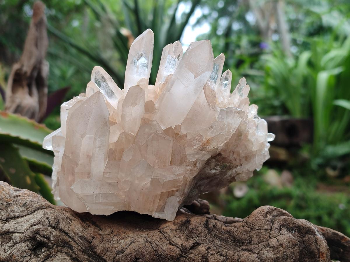 Natural Mixed Clear and Milky Quartz Clusters x 3 From Madagascar