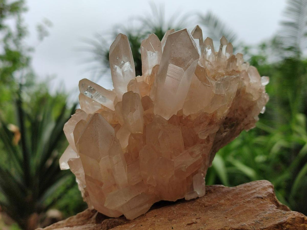 Natural Mixed Clear and Milky Quartz Clusters x 3 From Madagascar
