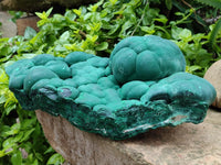 Natural XL Stalagmite Malachite Specimen x 1 From Congo