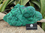 Natural XL Stalagmite Malachite Specimen x 1 From Congo