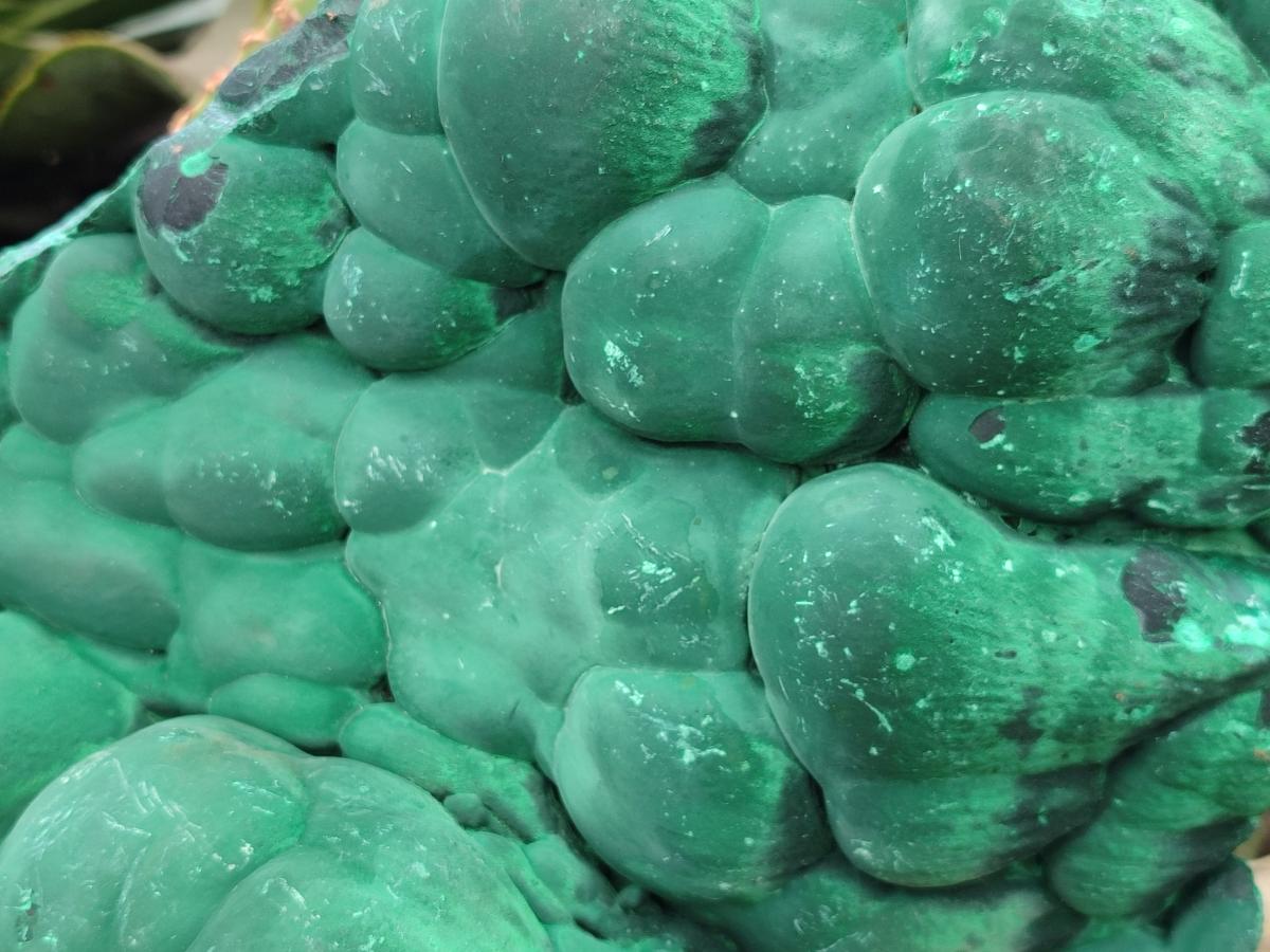 Natural XL Stalagmite Malachite Specimen x 1 From Congo