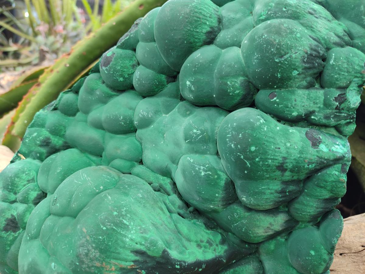 Natural XL Stalagmite Malachite Specimen x 1 From Congo