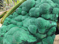 Natural XL Stalagmite Malachite Specimen x 1 From Congo