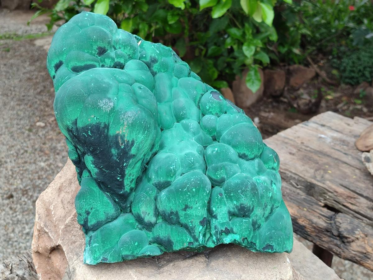 Natural XL Stalagmite Malachite Specimen x 1 From Congo