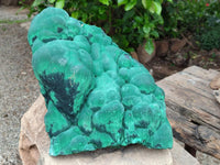 Natural XL Stalagmite Malachite Specimen x 1 From Congo