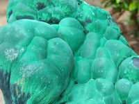 Natural XL Stalagmite Malachite Specimen x 1 From Congo