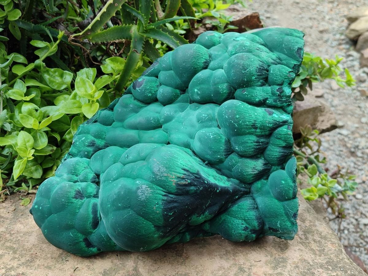 Natural XL Stalagmite Malachite Specimen x 1 From Congo