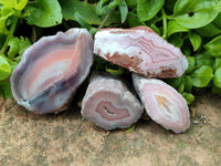Polished On One Side Pink Shashe River Agate Nodules x 24 From Shashe River, Zimbabwe