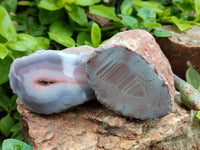 Polished On One Side Pink Shashe River Agate Nodules x 24 From Shashe River, Zimbabwe