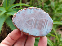 Polished On One Side Pink Shashe River Agate Nodules x 24 From Shashe River, Zimbabwe