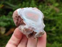 Polished On One Side Pink Shashe River Agate Nodules x 24 From Shashe River, Zimbabwe